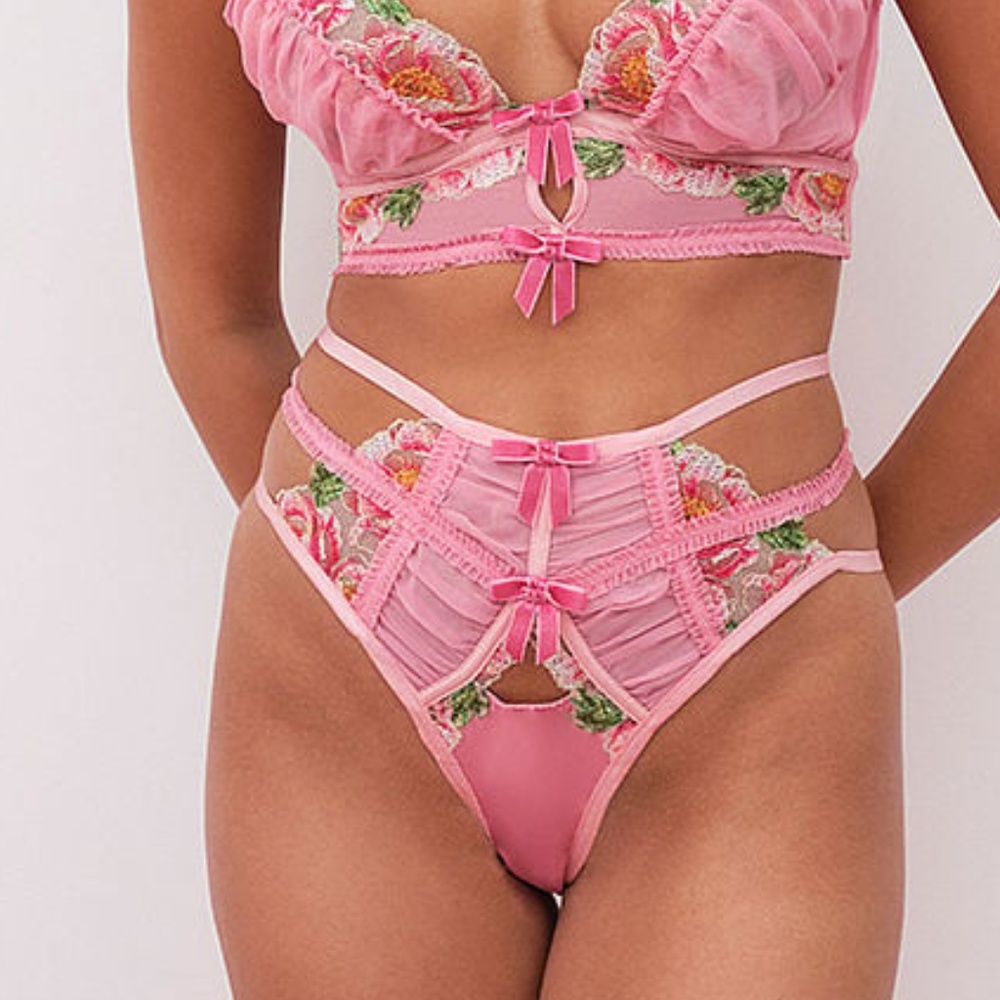 Nwt For Love And Lemons Needle Point Roses Cheeky Panty Pink XL